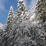 Gite De L'octroi -proche Centre Apartmán Remiremont