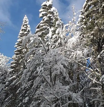 Gite De L'octroi -proche Centre Apartament Remiremont