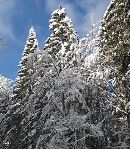 Gite De L'octroi -proche Centre Apartament Remiremont